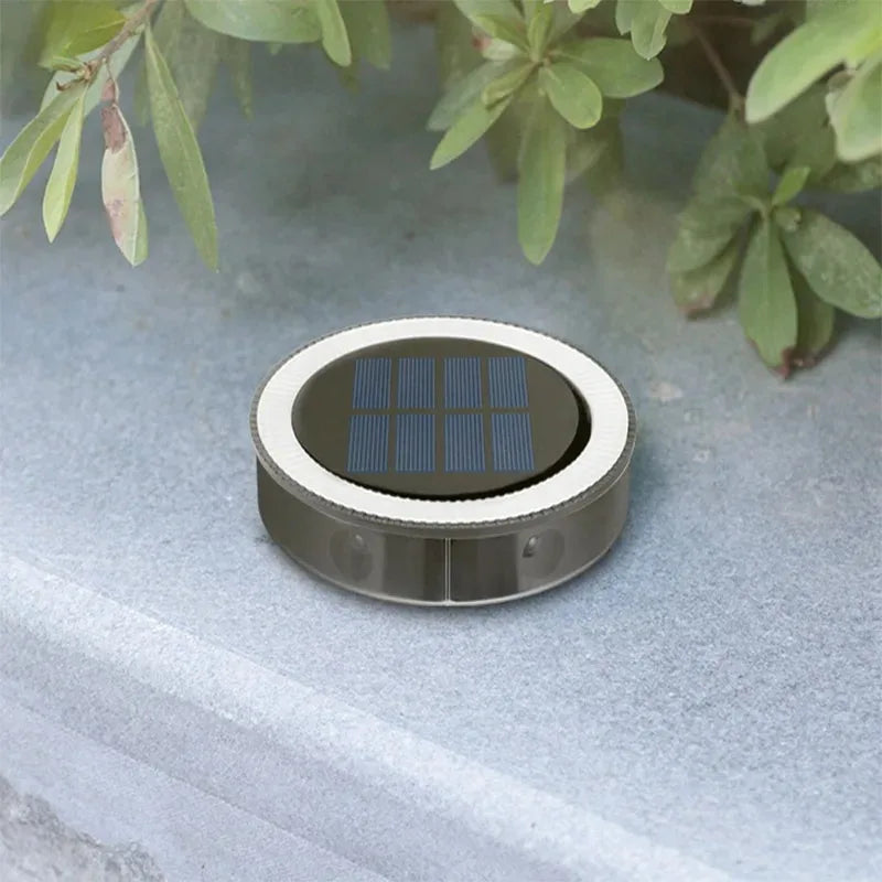 Outdoor Solar Ground or Wall led light